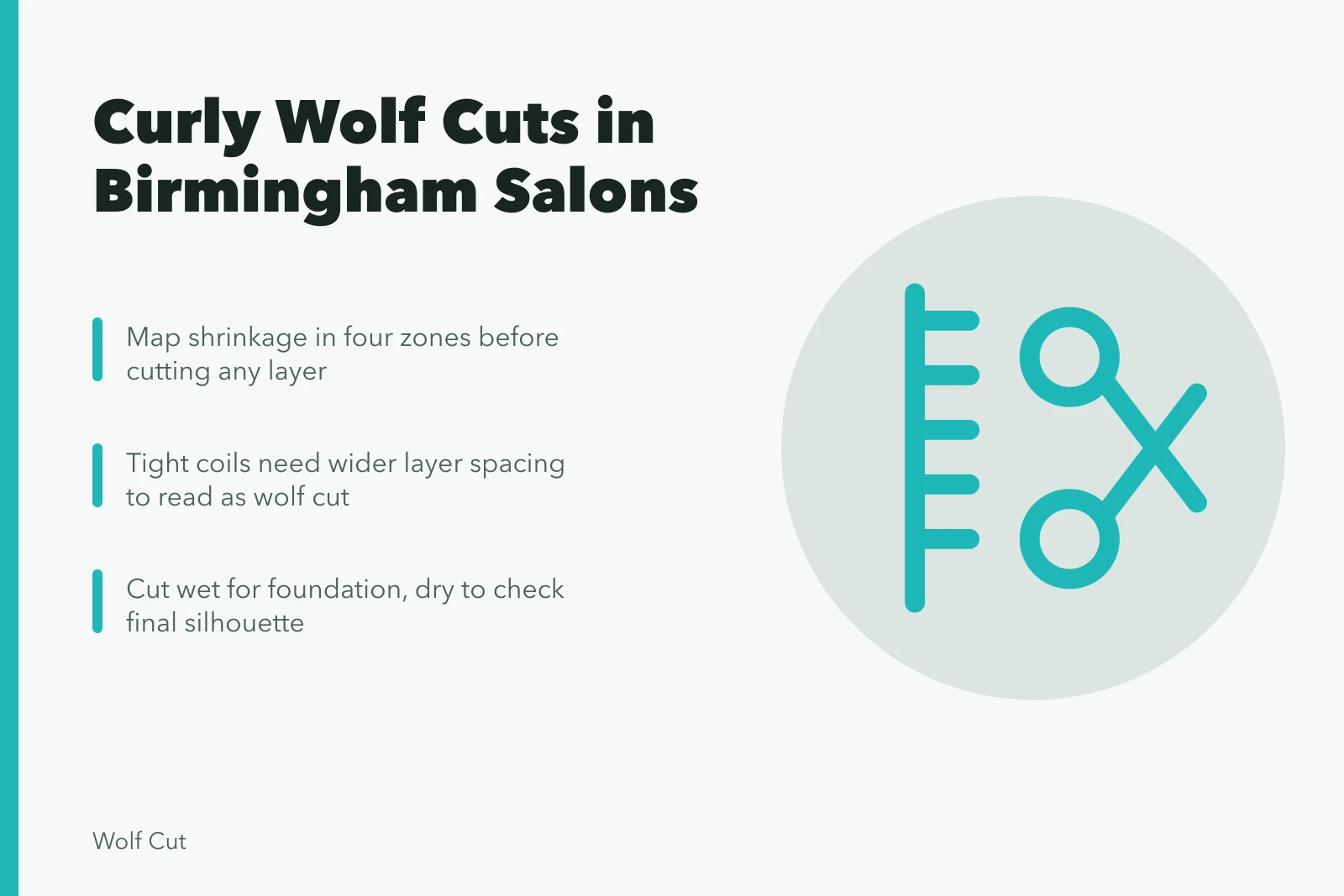 Curly wolf cut styling with shrinkage mapping and wet versus dry cutting. Adapting wolf cuts for Birmingham's curly and coily hair textures
