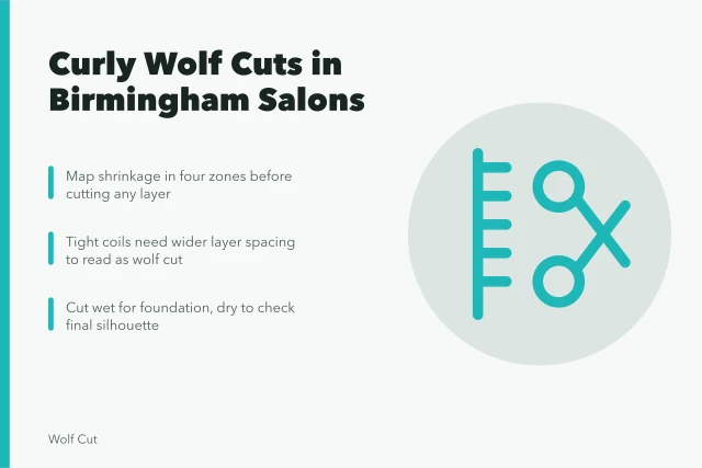 Curly wolf cut styling with shrinkage mapping and wet versus dry cutting. Adapting wolf cuts for Birmingham's curly and coily hair textures