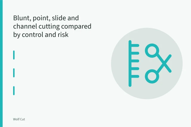 Sharp hair cutting shears meeting a held section of hair mid-cut. Blunt, point, slide and channel cutting compared by control and risk