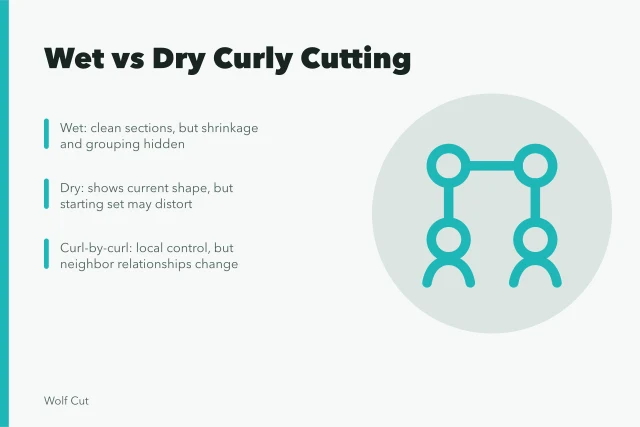 Comparison of wet, dry, curl-by-curl, and stretched curly cutting methods. Wet versus dry curly cutting: which method controls shrinkage better