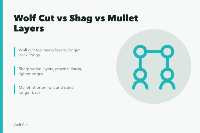 Comparison of wolf cut, shag, and mullet haircut silhouettes. Wolf cut versus shag versus mullet: comparing crown, sides and back