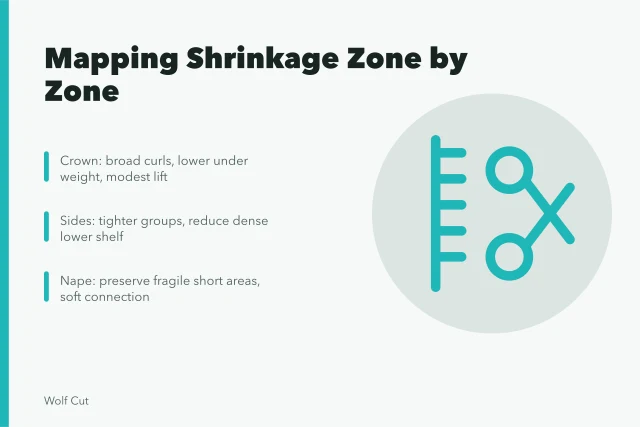 Card showing zone-by-zone shrinkage mapping for a mixed-pattern curly haircut. Mapping shrinkage zone by zone in a mixed-pattern curly haircut case