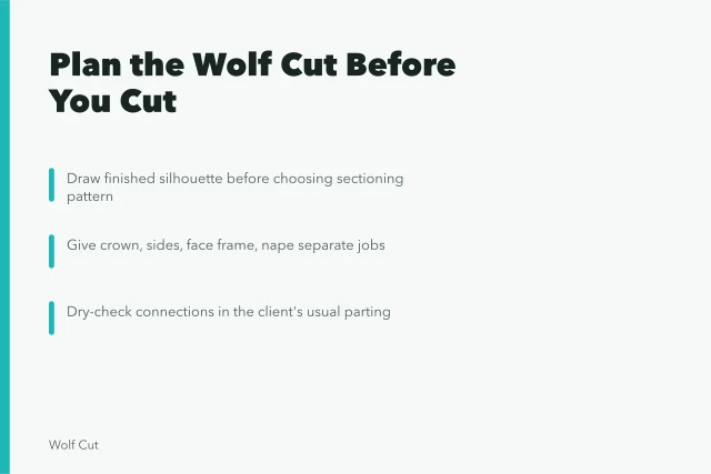 Wolf cut planning steps: silhouette, zone map, dry checks. Planning a customized wolf cut from zone map to final finish