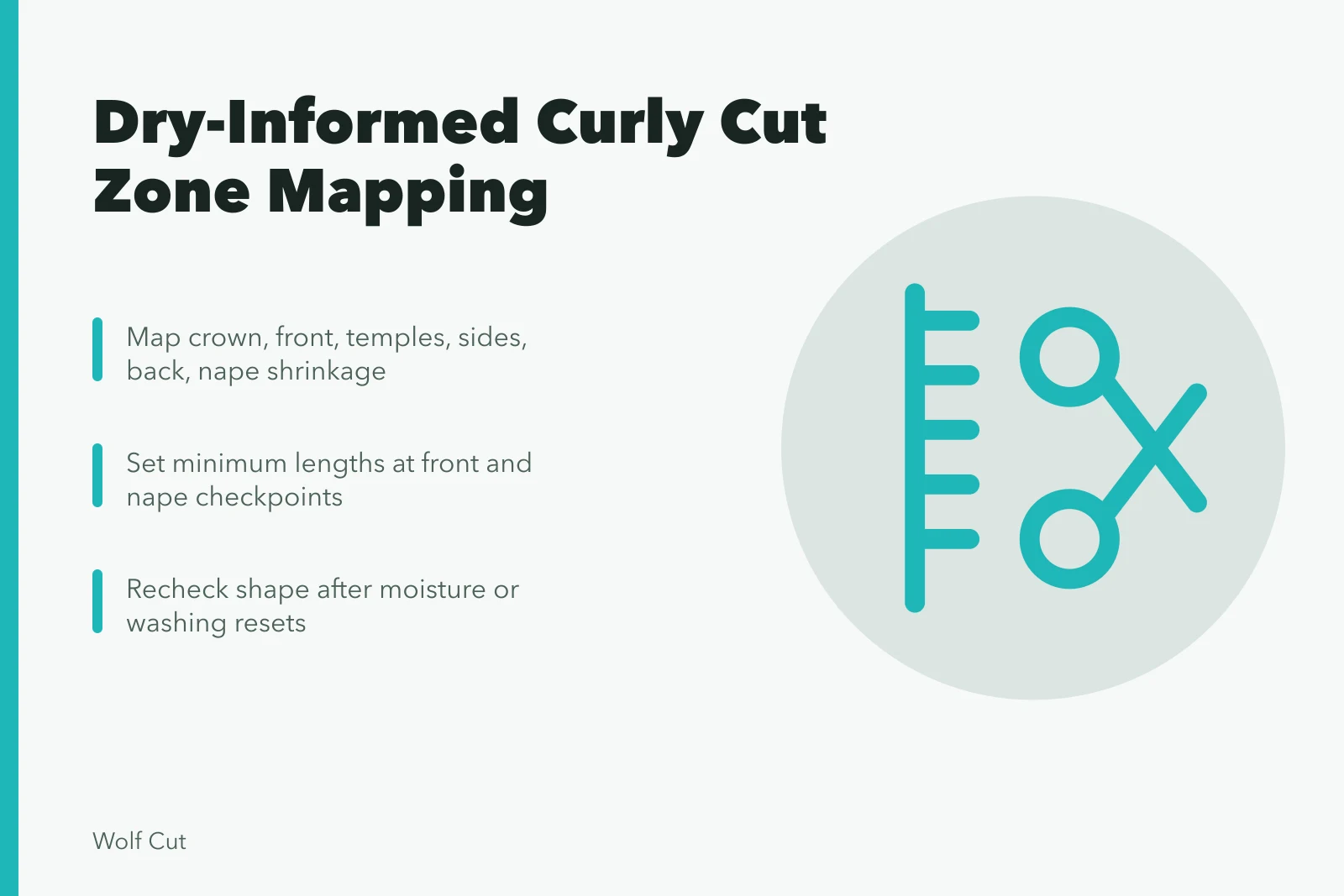 Curly haircut zone map with shrinkage checkpoints for dry-informed cutting. Planning a dry-informed curly haircut with a proper zone map
