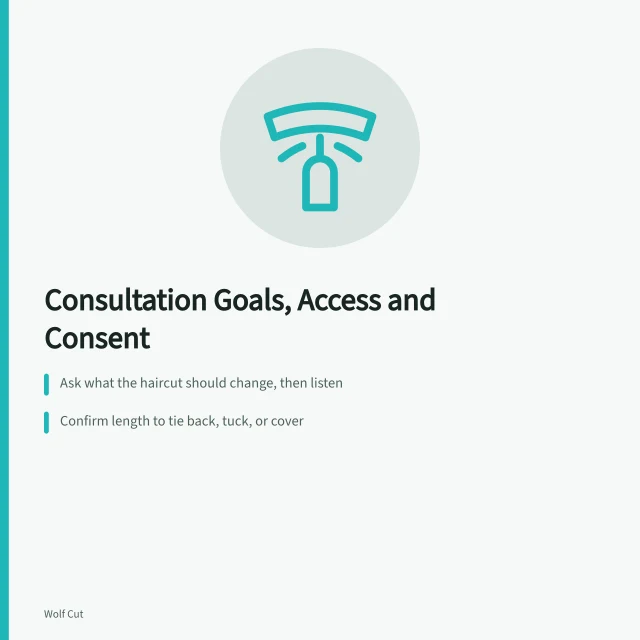 Salon consultation card on goals, access, and consent. Goals, access and consent guide this salon consultation process