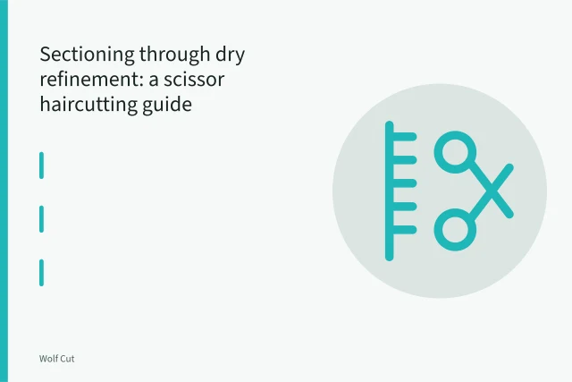 Scissors and comb sectioning dry hair for a precision scissor haircut. Sectioning through dry refinement: a scissor haircutting guide