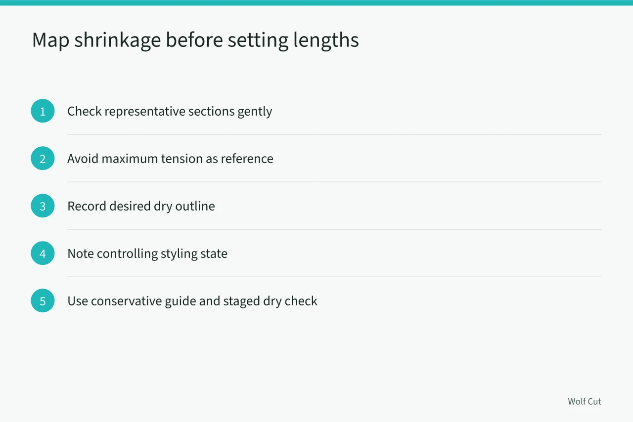 Five-step sequence for mapping shrinkage across the head (Shrinkage and density anchor this curly and coily haircutting guide)