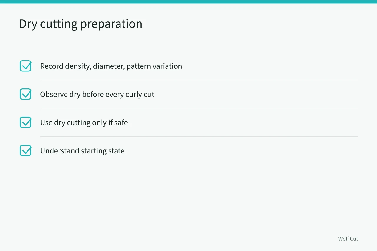 Checklist for preparing to cut curly hair dry (Wet versus dry curly cutting: which method controls shrinkage better)