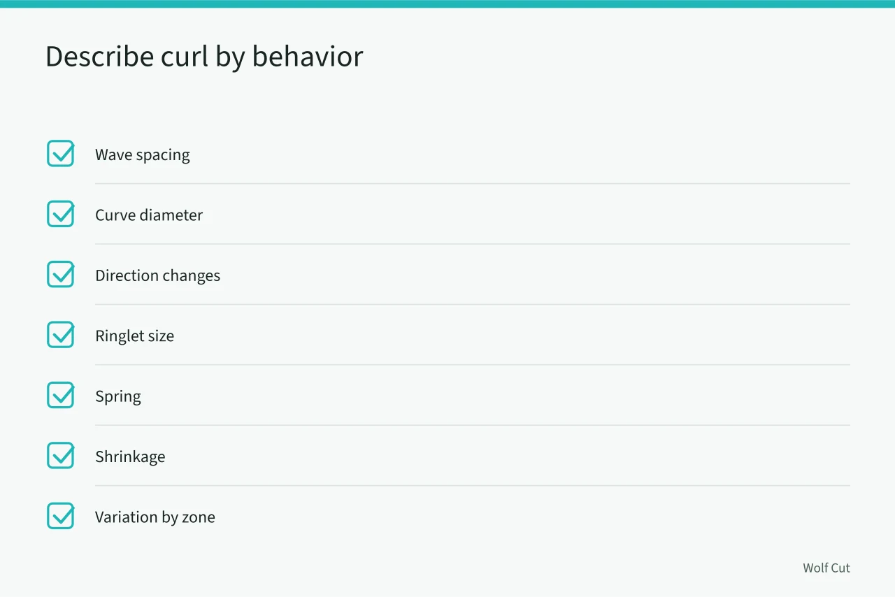 Checklist of curl behaviors to describe instead of demographic categories (Density, diameter, texture and growth pattern compared, not confused)