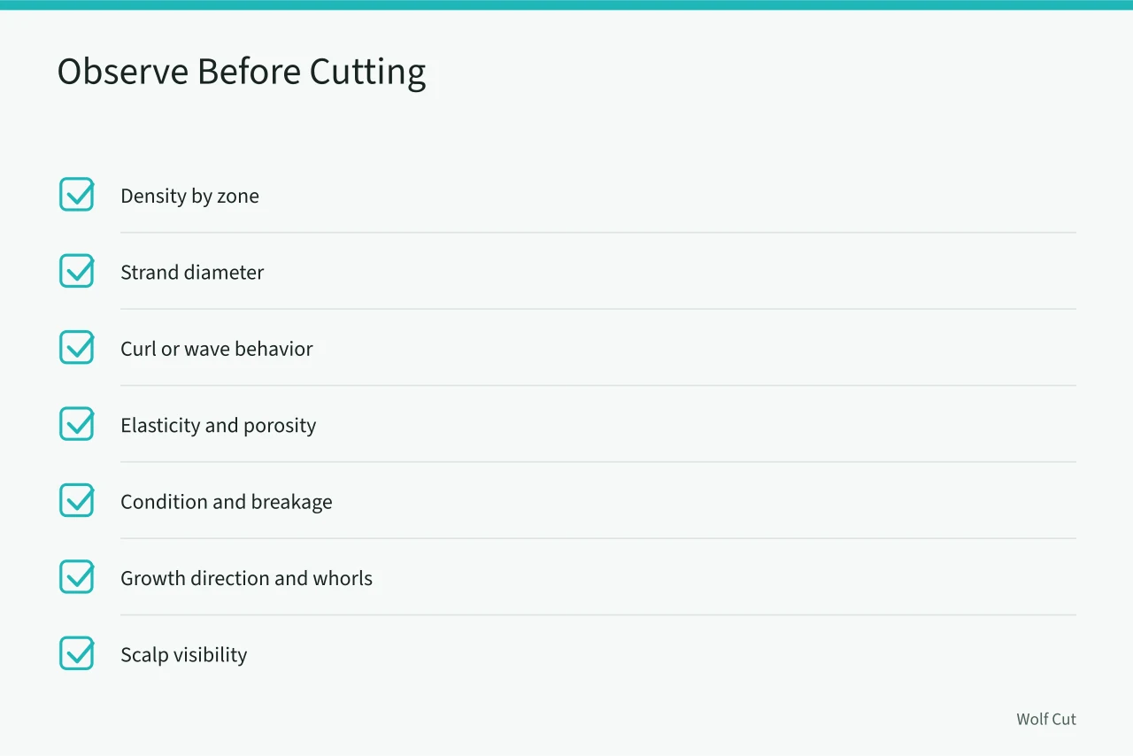Checklist of hair and scalp properties to record before cutting (Haircut design fundamentals: shape, weight, texture, and movement in 2027)