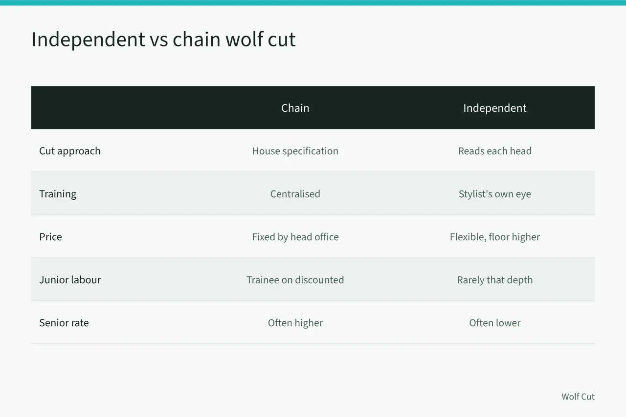 Comparison table of chain versus independent wolf cut salons (Leeds and Liverpool, how student demand shapes wolf cut salon pricing)