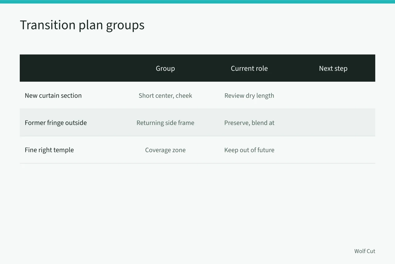 Table of three hair groups with current roles and next transition steps (An overgrown fringe case: resetting landing points and recoil)
