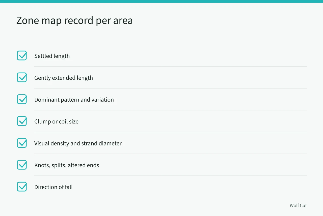 Checklist of eight measurements recorded for each head zone (Planning a dry-informed curly haircut with a proper zone map)