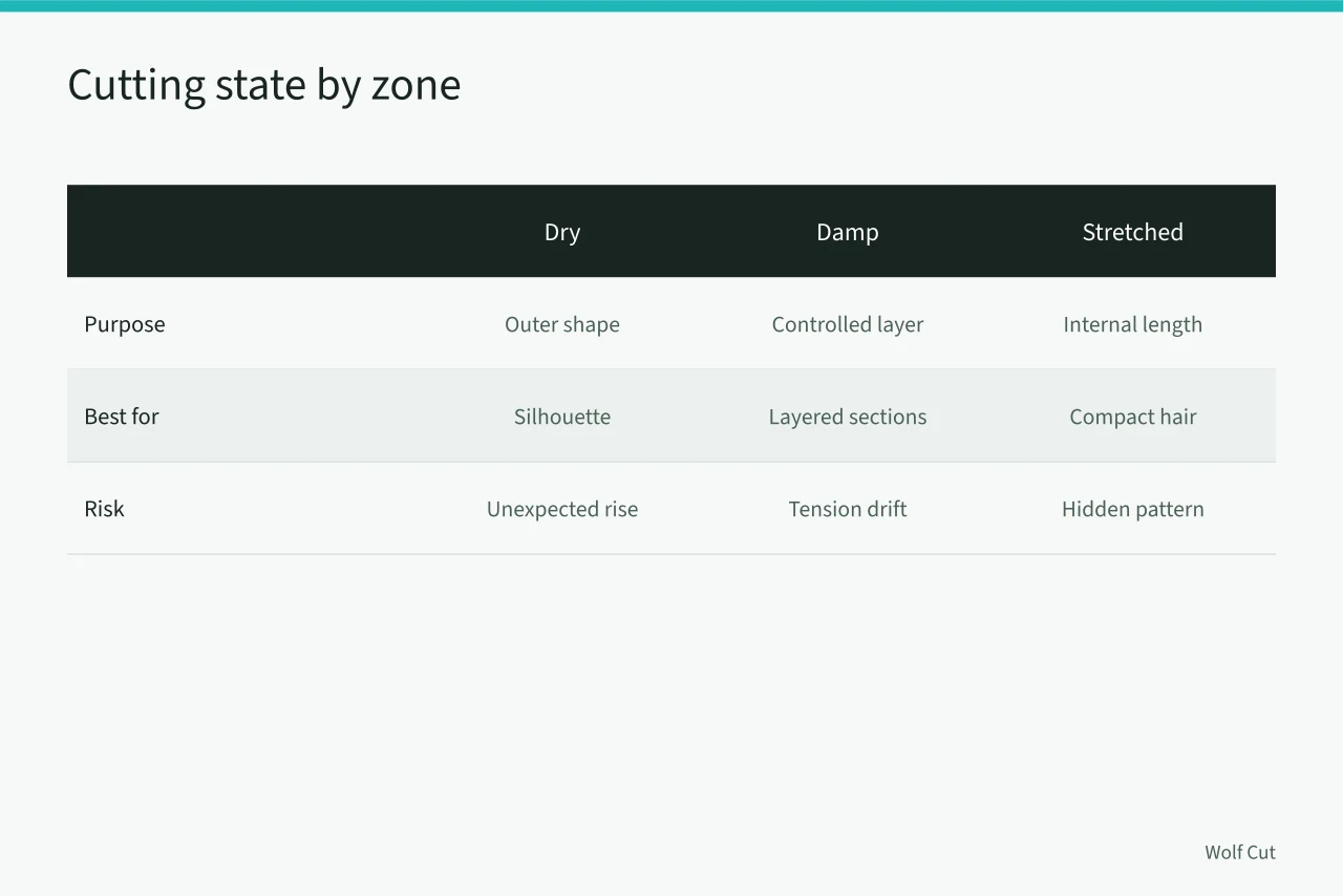 Comparison table of dry, damp, and stretched cutting states (Planning a dry-informed curly haircut with a proper zone map)