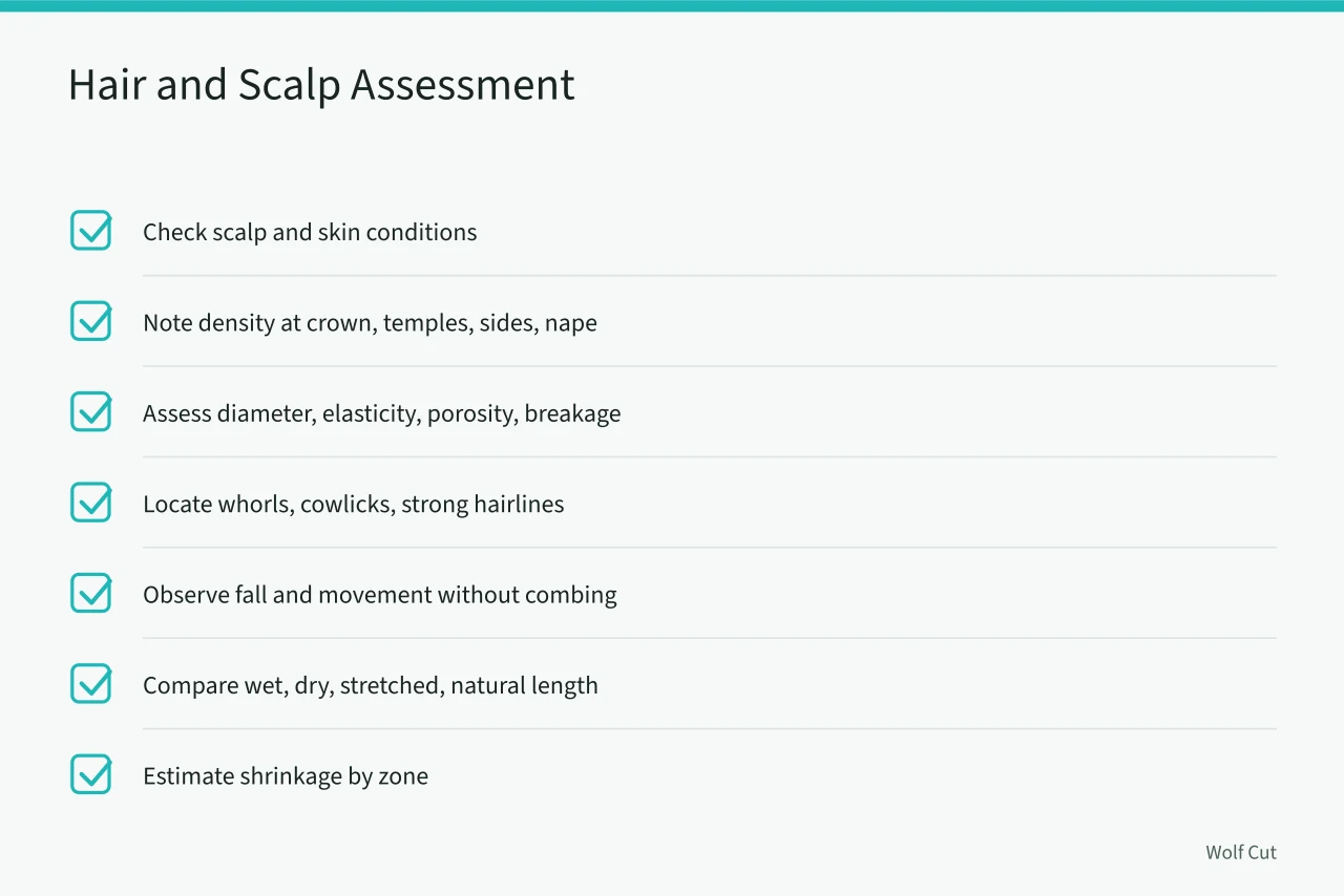 Checklist for assessing hair and scalp before wolf cut (8 things to weigh up on wolf cut consultation)