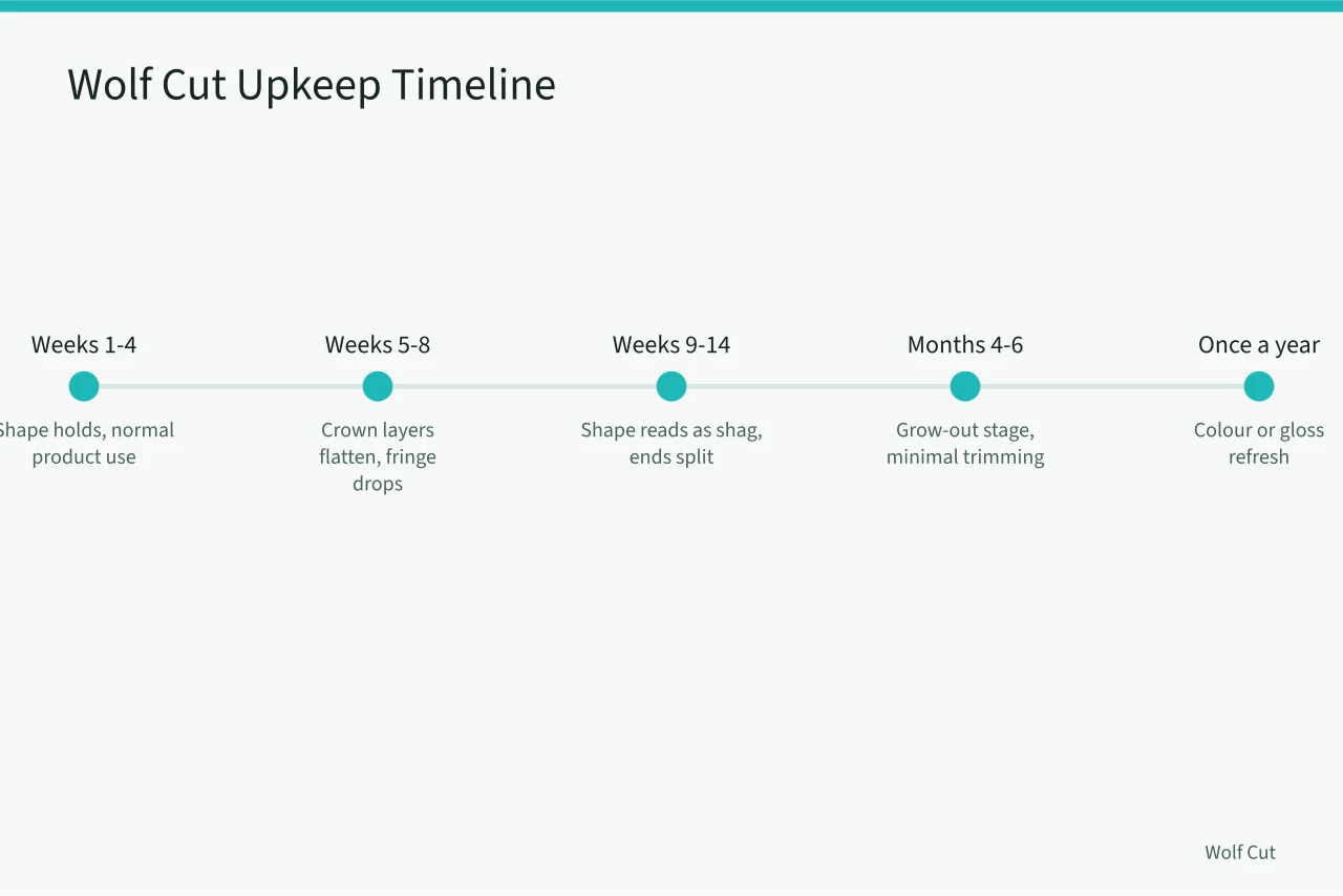 Timeline showing wolf cut upkeep stages and costs in Chicago (Wolf cut upkeep cost in Chicago: cuts, product and the six-week curve)