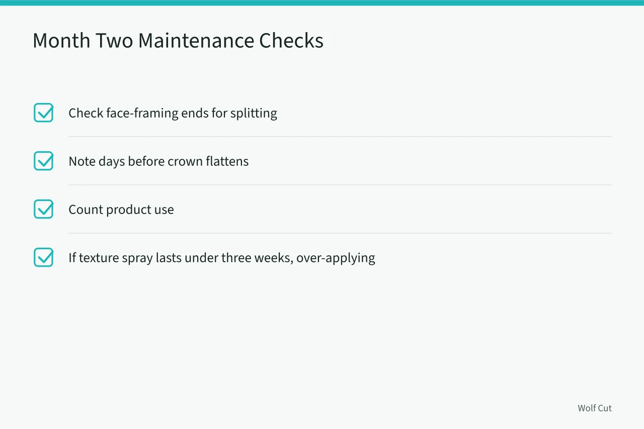Checklist for monitoring wolf cut condition after first month (Wolf cut upkeep cost in Chicago: cuts, product and the six-week curve)