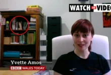 yvette amos